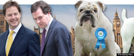 Tory Dog