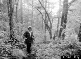 http://i.huffpost.com/gen/736120/thumbs/s-LI-GUOHUA-SHENNONGJIA-HUBEI-large.jpg
