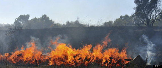 Fuego
