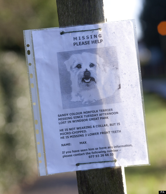max poster
