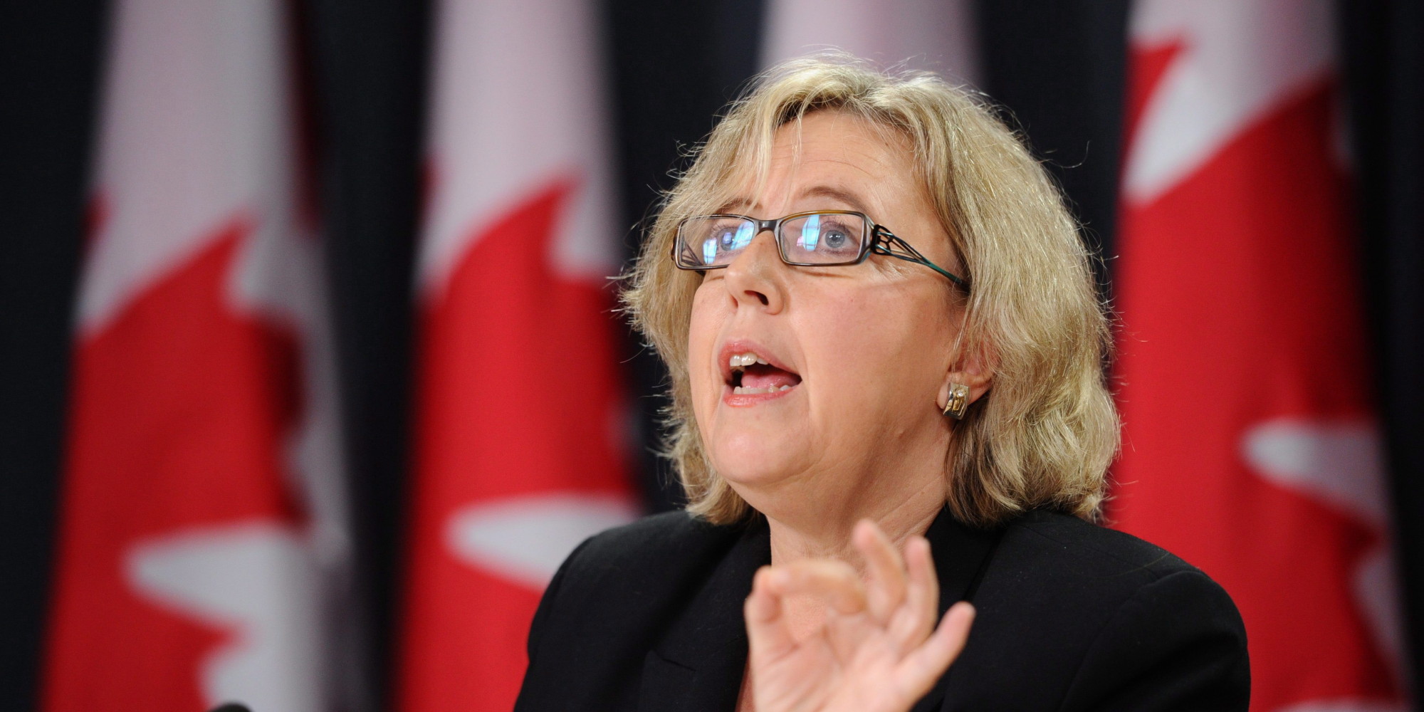 Why I Am Fighting Bill C 51 Elizabeth May 5561