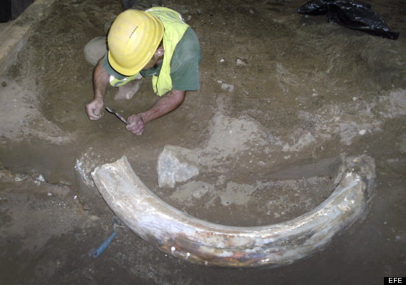 colmillo mamut metro