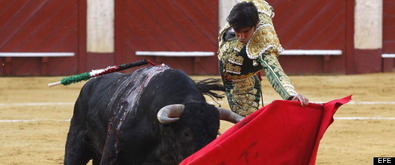 Toros