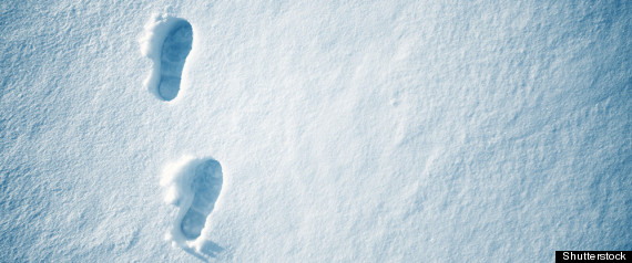 Living In The Arctic