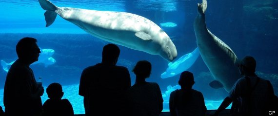 Marineland