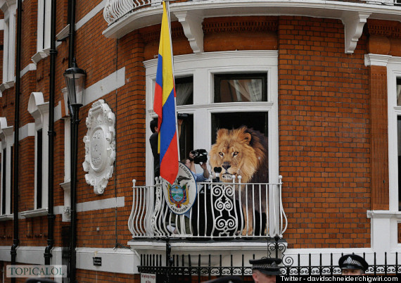 lion embassy