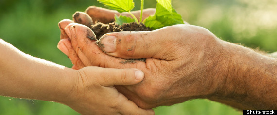 Environnement