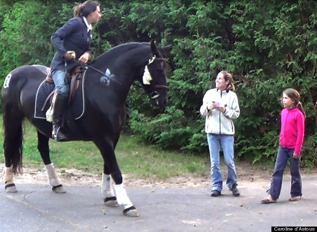 option nationale cheval