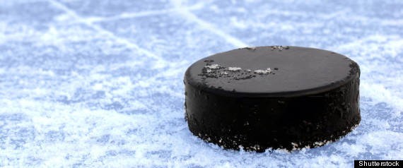 Hockey Puck