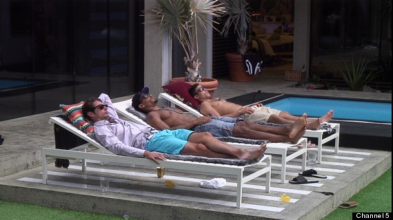 celebrity big brother