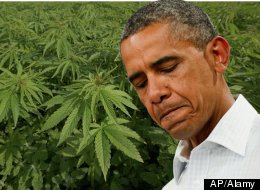 Obama Marijuana Legalization