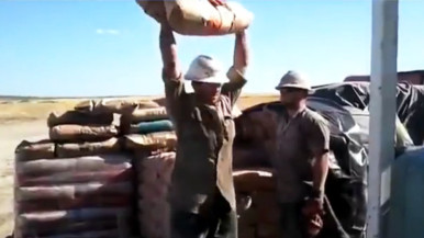 Worker holding bag of cement