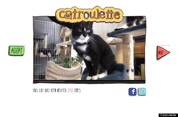 catroulette
