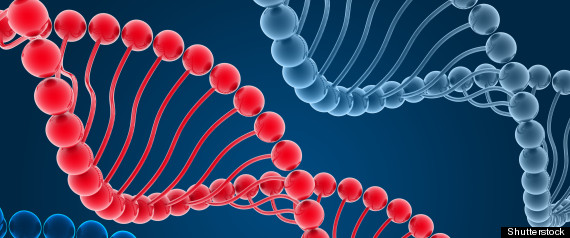Human Genome