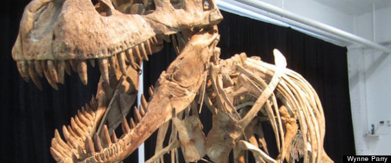 Frankenstein Dinosaur