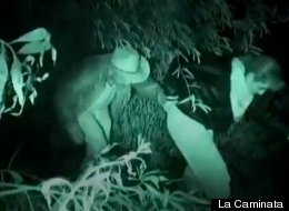 WATCH: Tourists Pay To 'Illegally' Cross The Border