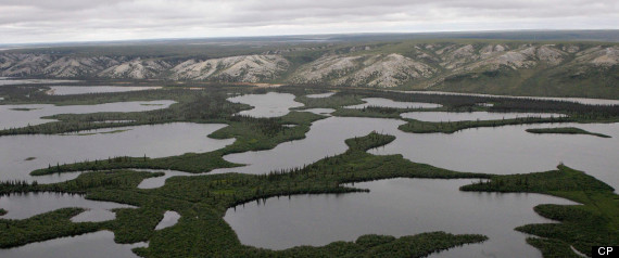 Mackenzie River Delta
