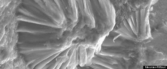 Mars Magma