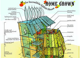 Green Architecture on Green Architecture