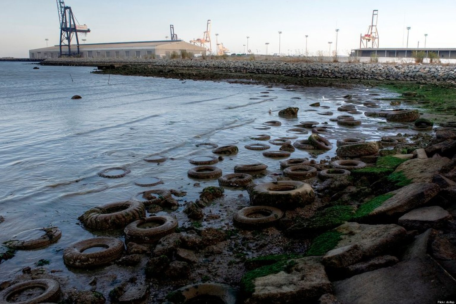 San Francisco Bay Pollution Environmental Group Reveals The Bay's Dirtiest Spots (PHOTOS)