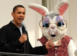 http://i.huffpost.com/gen/77125/thumbs/s-BUNNY-large.jpg