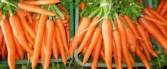 Zanahorias