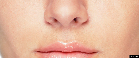 Nose