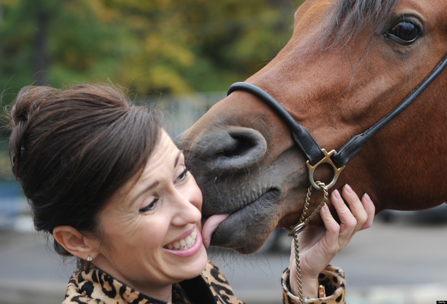 26 Humans And Pets Who Are Getting Some Wet Lovin (PHOTOS) HuffPost