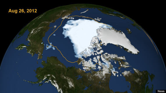 arctic sea ice