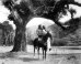 Thomas Gladysz: Once Lost Film Returns to Bay Area