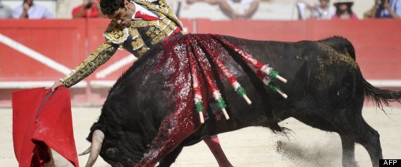 Jose Tomas