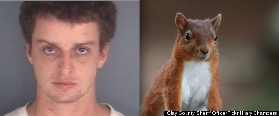 Warren Thomas Michael Squirrel