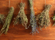 Make Your Home Smell Good And Freshen The House With Herbs