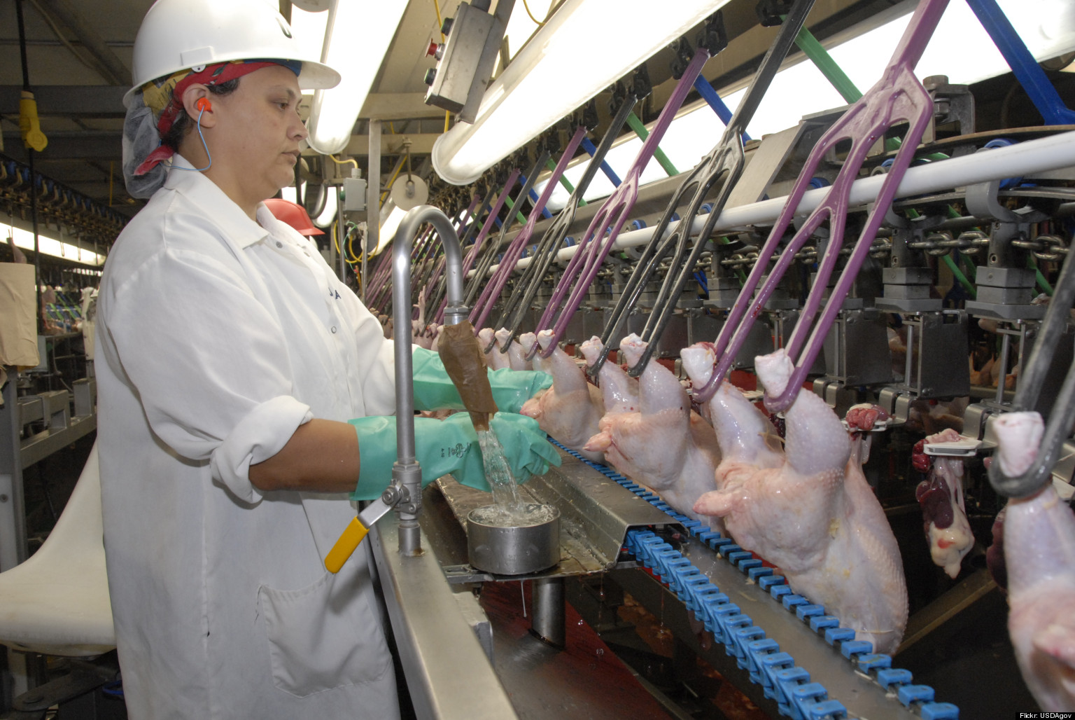 An Insider's Perspective on USDA's Problematic Poultry Rule The