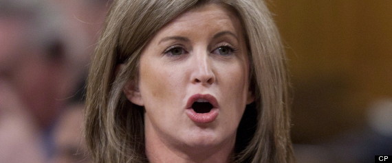 Rona Ambrose Petition