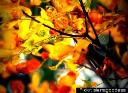 'The Heart Feels A Languid Grief' - How Centuries Of Poets Have Described Autumn
