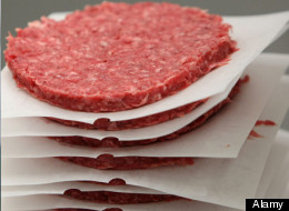 UPDATED: Ottawa Defends Delayed Recall