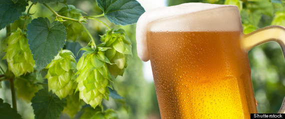 Beer Taxes