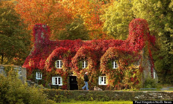 awesome_autumn_3
