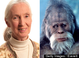WATCH: Jane Goodall Goes Ape For Bigfoot