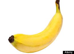 rocco siffredi penis