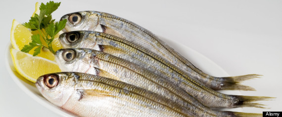 Fish