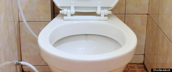 Steal Toilet