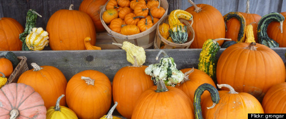 Health Benefits Of Pumpkin