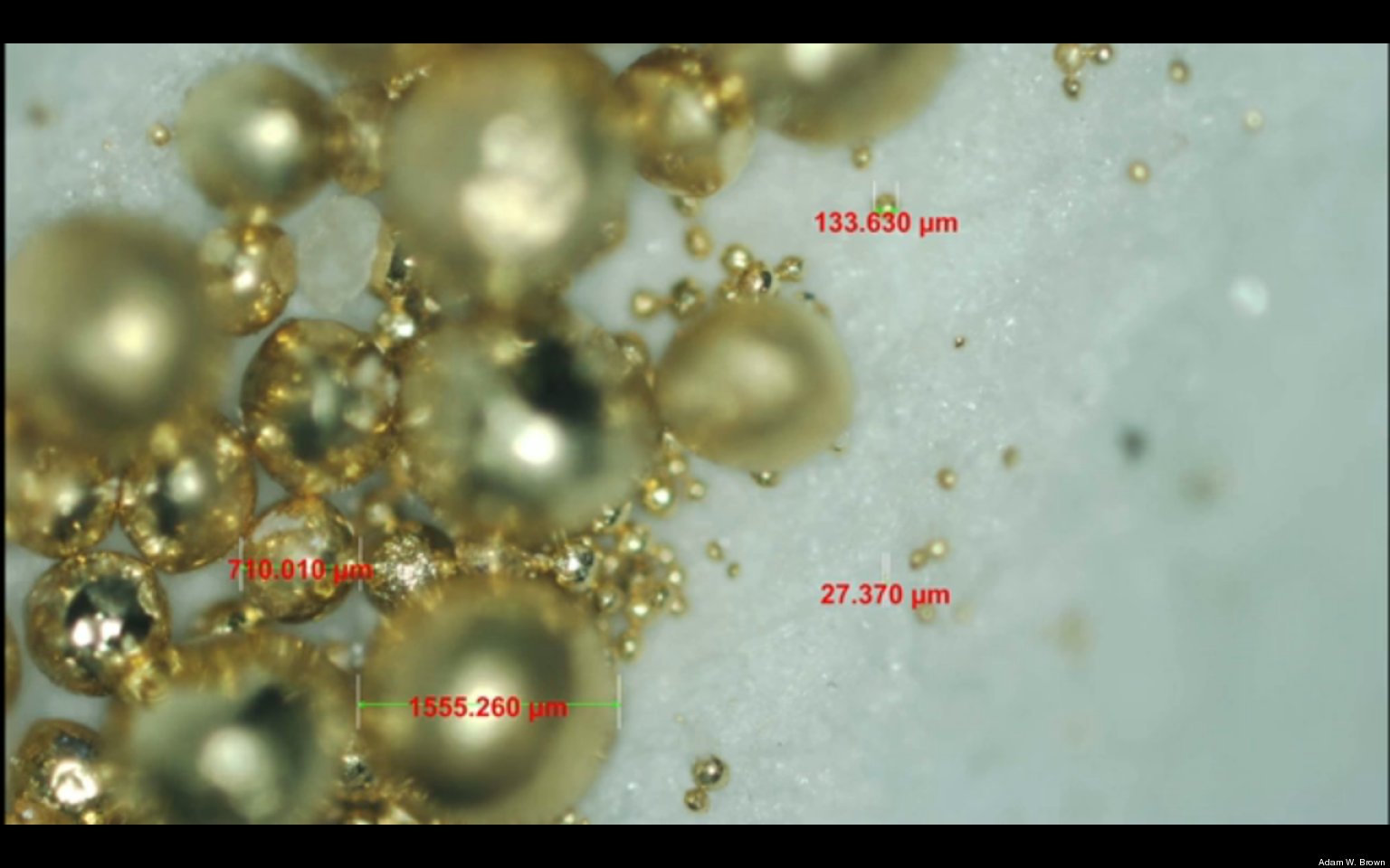 Gold nanoparticules made by "Cupriavidus metalliduran" and "Delftia acidovorans"