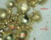 'Superman' Germs Transform Toxin Into Precious Metal
