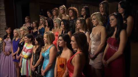 bachelor canada