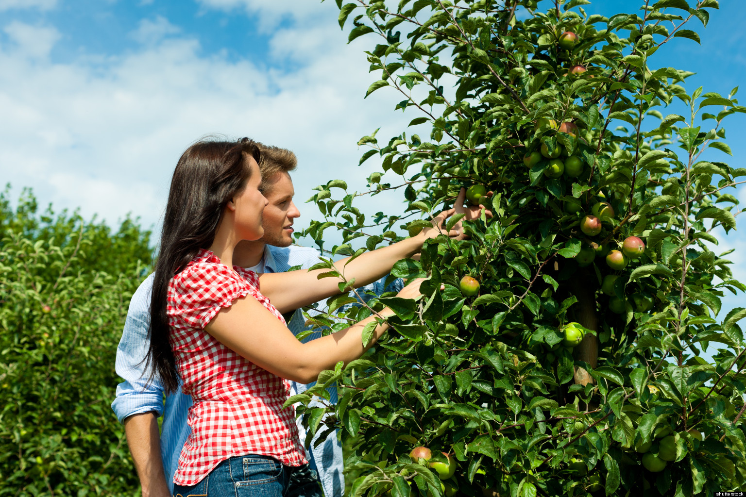 fall-activities-how-many-calories-do-you-burn-huffpost