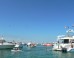 miami-around-town