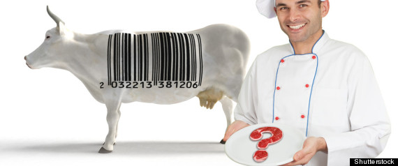 Recalled+products+canada